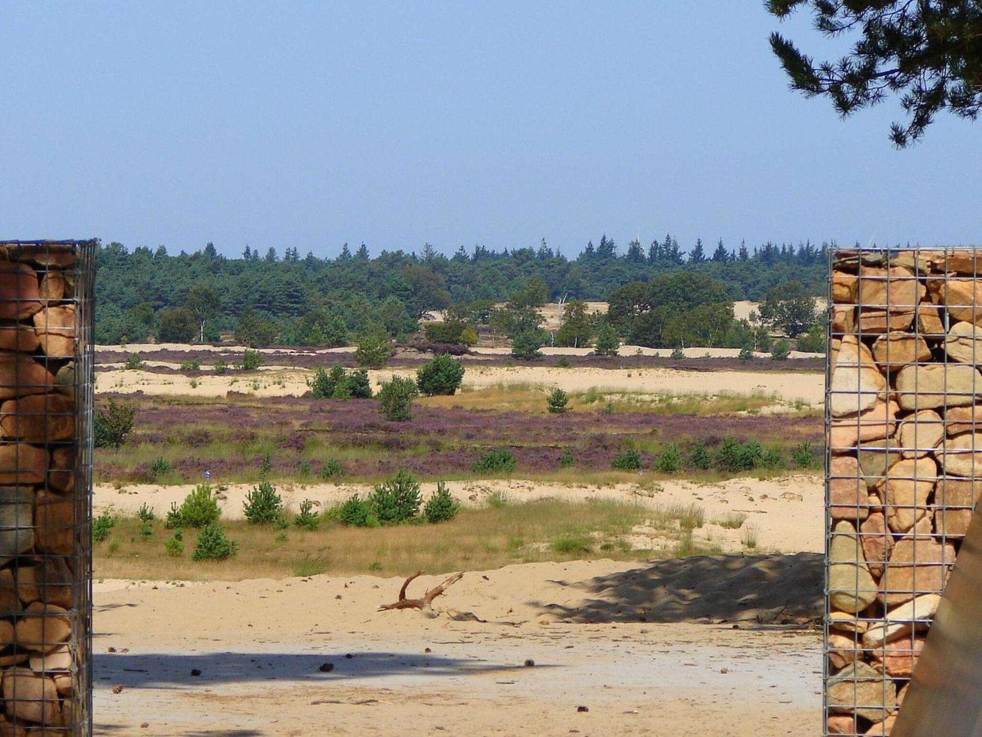 Chalet Near The Loonse And Drunense Duinen Udenhout Zewnętrze zdjęcie